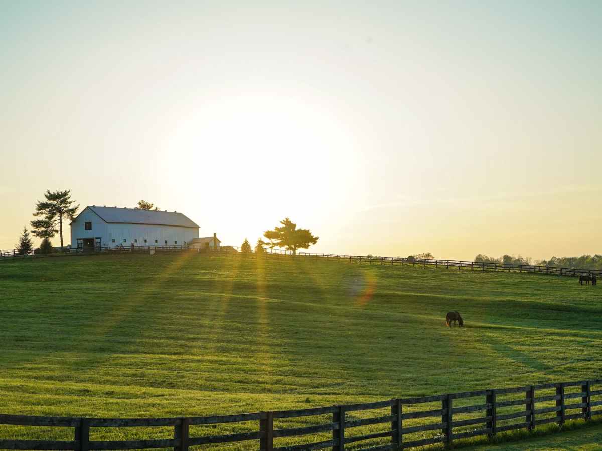 What will happen to the housing market in&nbsp;2024?