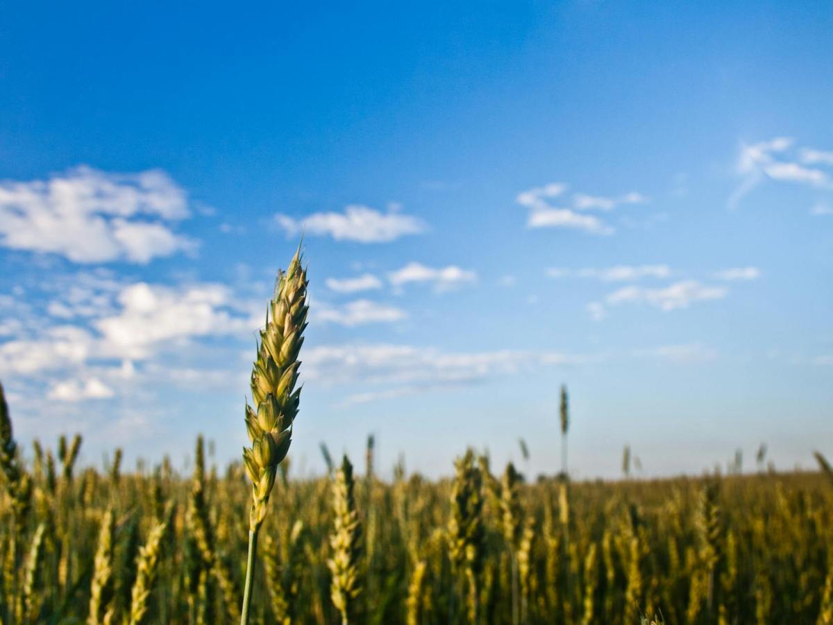 Housing starts increase in&nbsp;2025